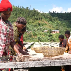 Pennine Burundi Fully Washed Arabica Green Coffee Beans (1kg)