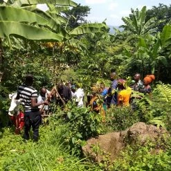 Pennine Uganda Coffee Gardens Washed Arabica Green Coffee Beans (1kg)