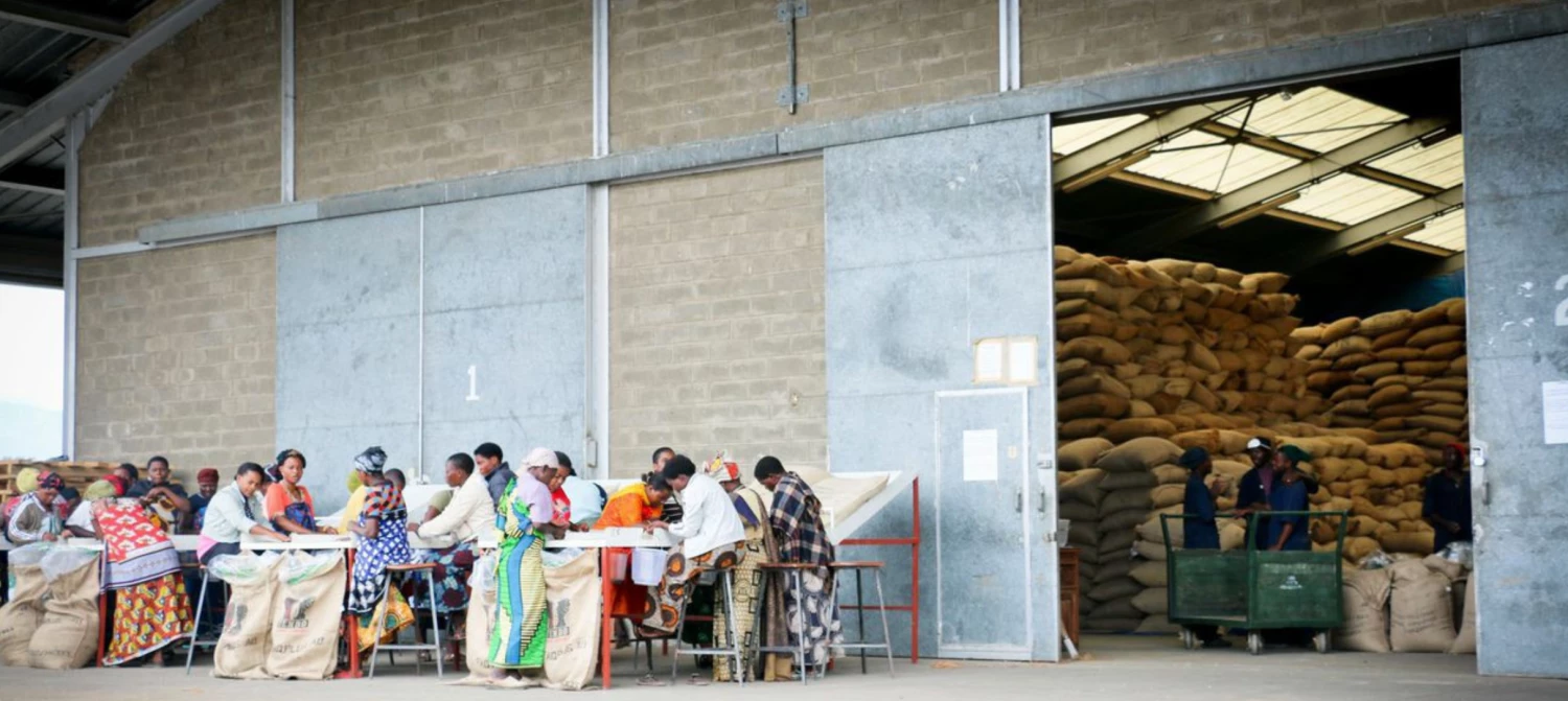 Pennine Tanzania AB Unwashed Arabica Green Coffee Beans (1kg) 5 Pennine Tanzania AB Unwashed Arabica Green Coffee Beans (1kg)