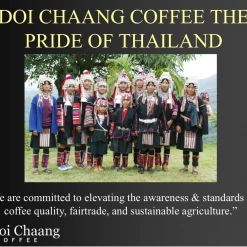 Pennine Thailand Grade A Doi Chanang Washed Arabica Green Coffee Beans (1kg)