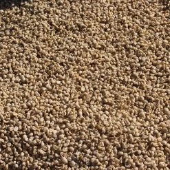 Pennine Kenya Peaberry Kagumoini Washed Arabica Green Coffee Beans (1kg) **Christmas Flavours**