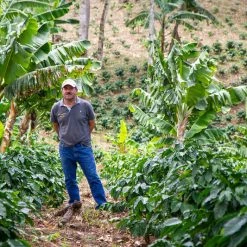 Pennine Nicaragua La Tormenta Washed Arabica Green Coffee Beans (1kg)