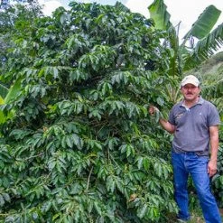 Pennine Nicaragua La Tormenta Washed Arabica Green Coffee Beans (1kg)