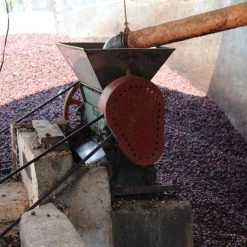 Pennine Green Coffee Guatemala Finca La Florida - Sierrra De Las Minas Pacamara Washed Arabica (1kg)