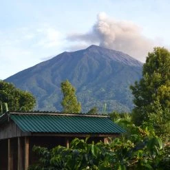 Pennine Indonesia Burni Telong Giling Basah Arabica Green Coffee Beans (1kg)