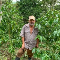 Pennine Nicaragua La Tormenta Washed Arabica Green Coffee Beans (1kg)