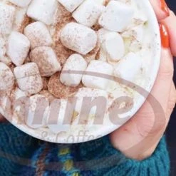 Pennine White Mini Marshmellows Bulk (20x250g)