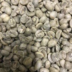 Pennine Panama SHB Boquete Washed Arabica Green Coffee Beans (1kg)