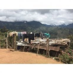 Pennine Tea And Coffee Peru BluePrint Enrique Vasquez Zamora Washed Arabica Green Coffee Beans (1kg)