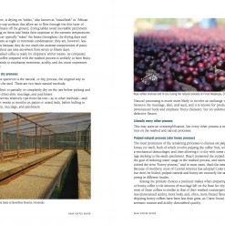 Scott Rao Dear Coffee Buyer - A Guide To Sourcing Green Coffee By Ryan Brown.