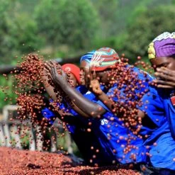 Pennine Rwanda Baho Intsinzi Natural Arabica Green Coffee Beans (1kg)