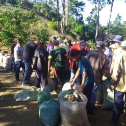 Pennine El Salvador RFA Tapantgusto Washed Arabica Green Coffee Beans (1kg)