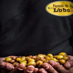 Pennine Brazillian Yellow Bourbon Pulped Natural Arabica Fazenda Do Lobo Green Coffee Beans (1kg)